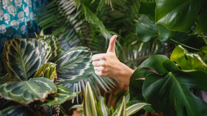 katya-austin-4Vg6ez9jaec-unsplash